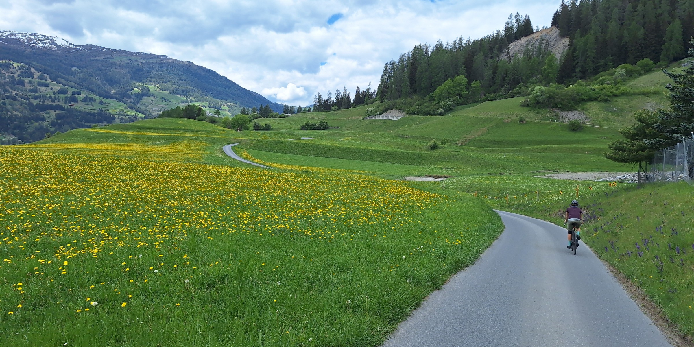 Foto zum Beitrag «bergün -chur»