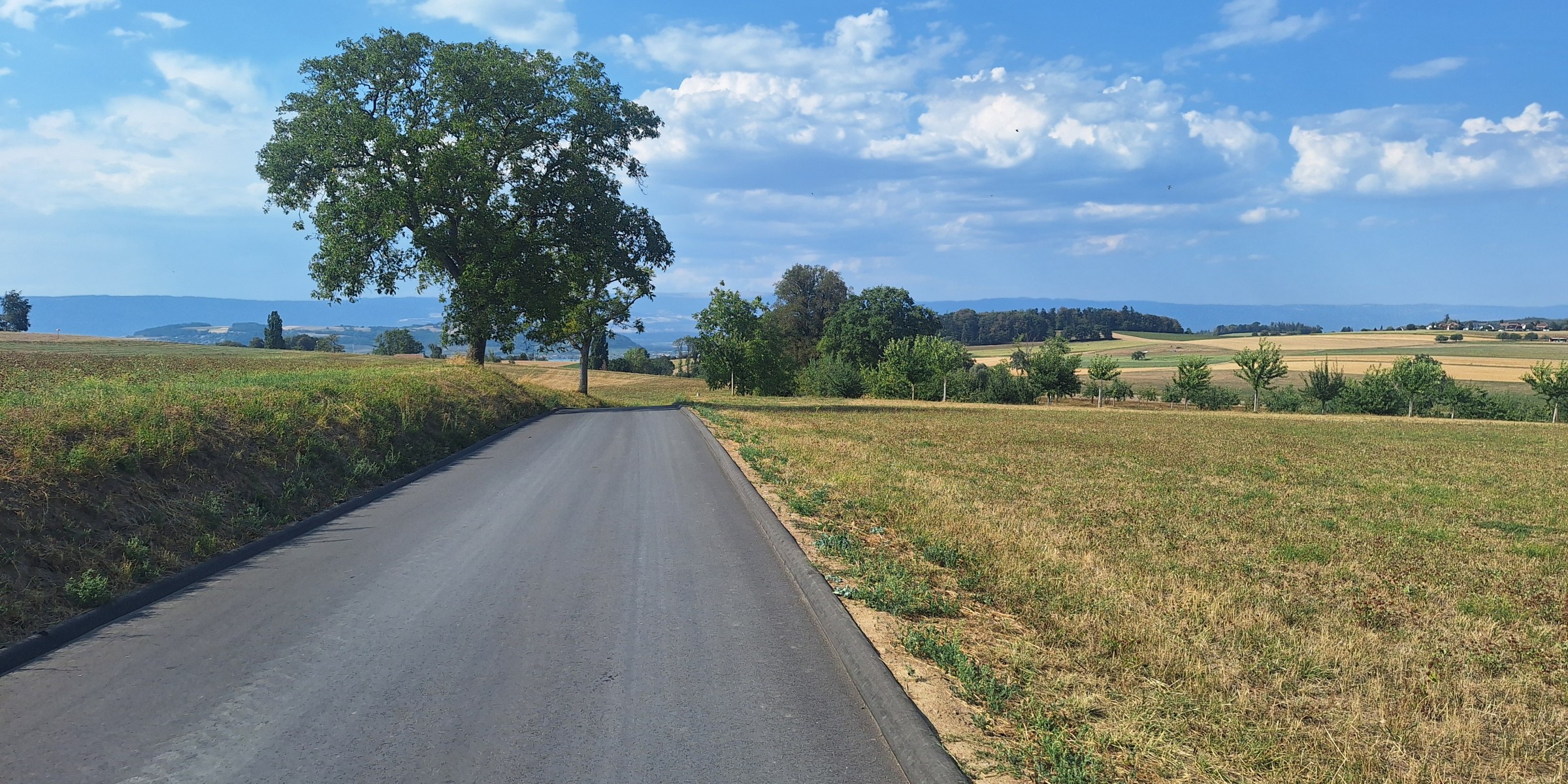 Foto zum Beitrag «gruyere- murten»
