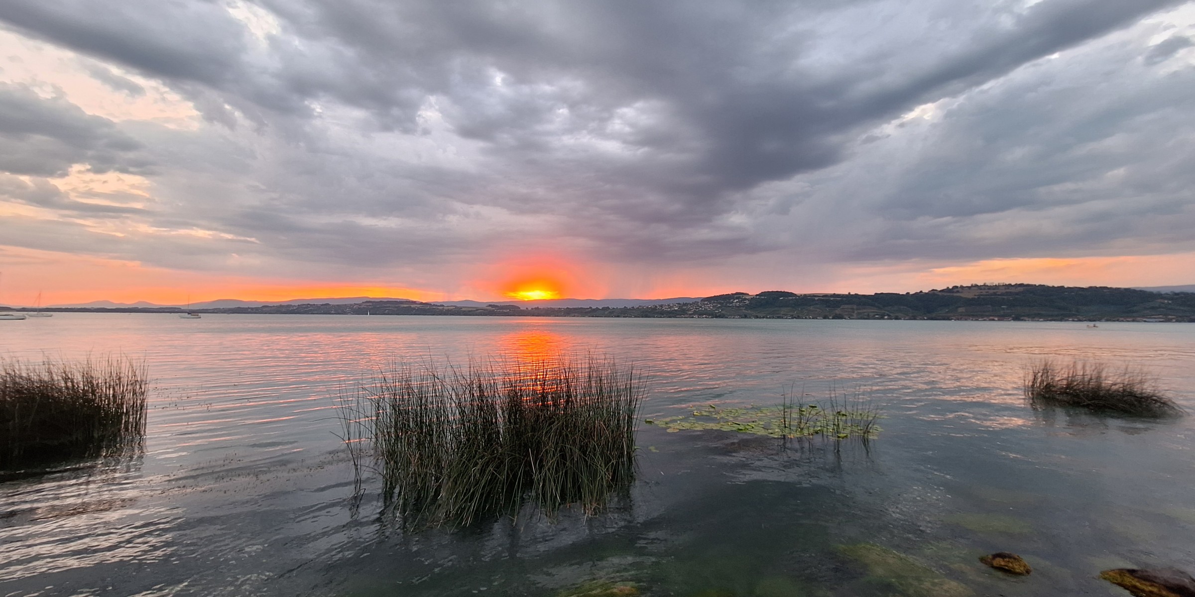 Foto zum Beitrag «gruyere- murten»