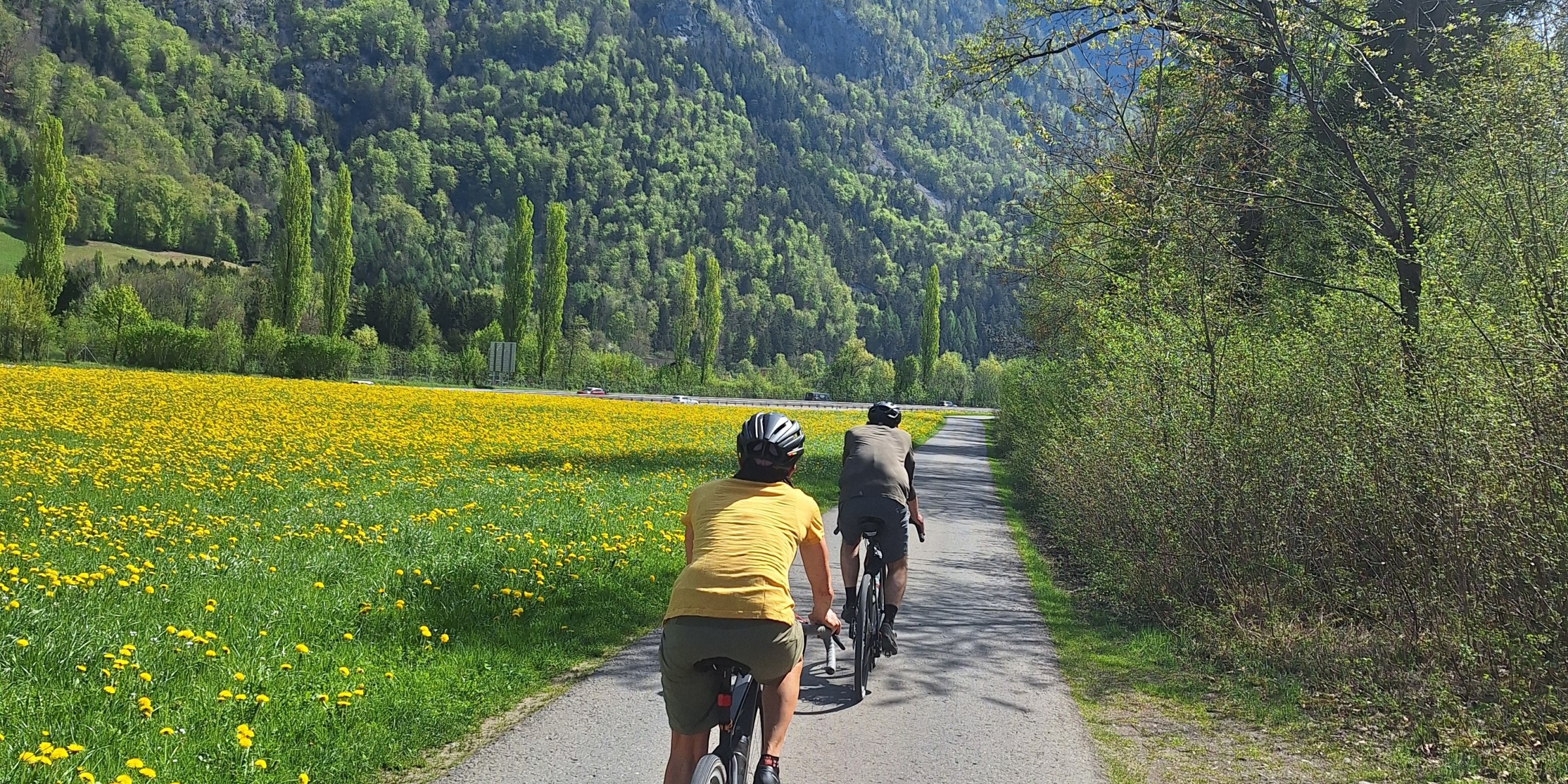 Foto zum Beitrag «grosse runde»