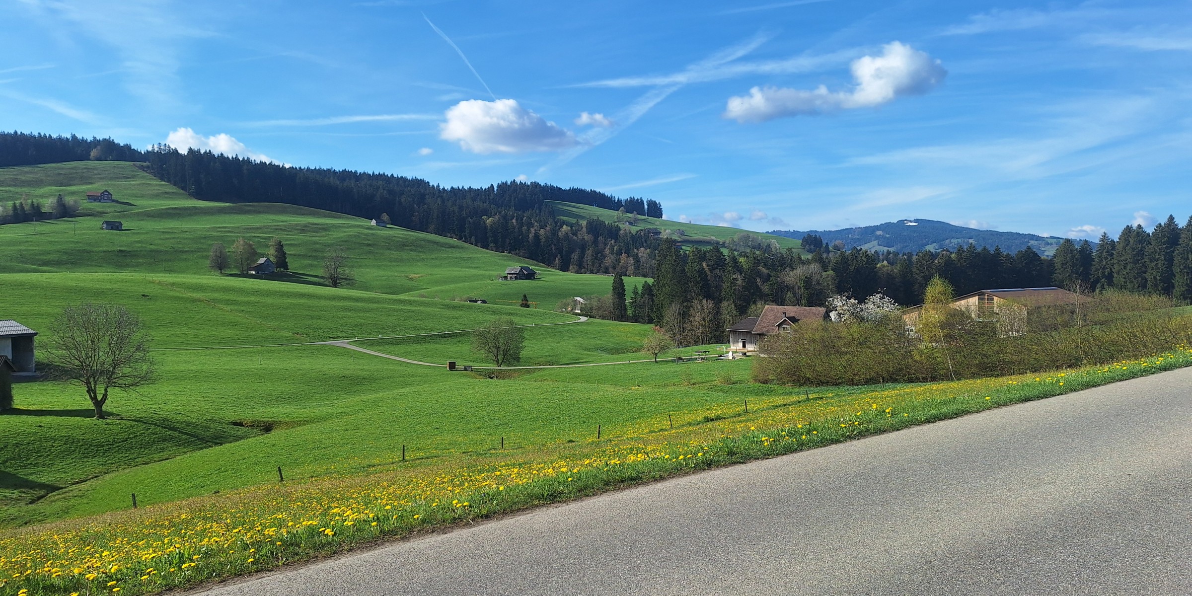 Foto zum Beitrag «grosse runde»
