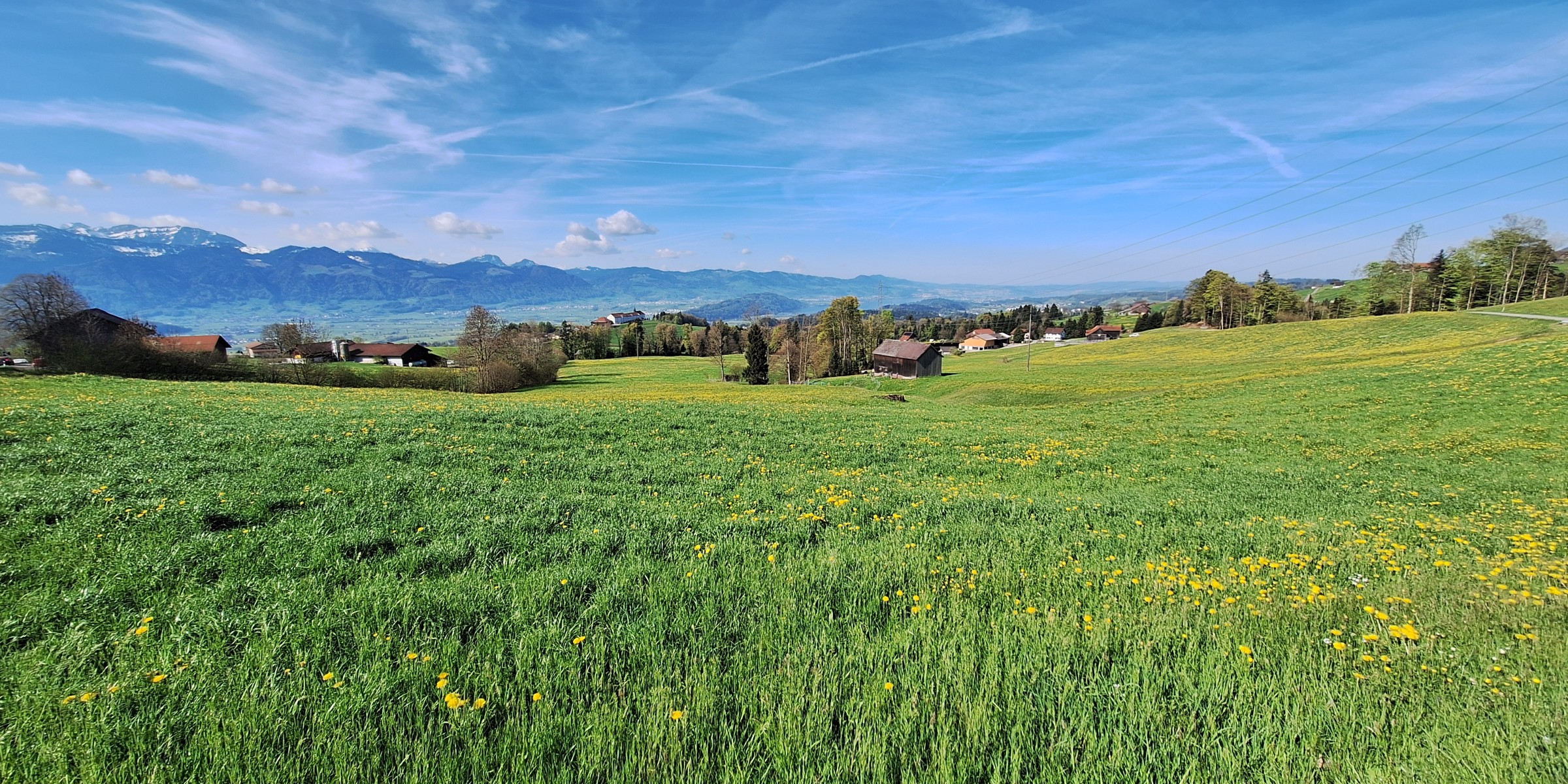 Foto zum Beitrag «grosse runde»