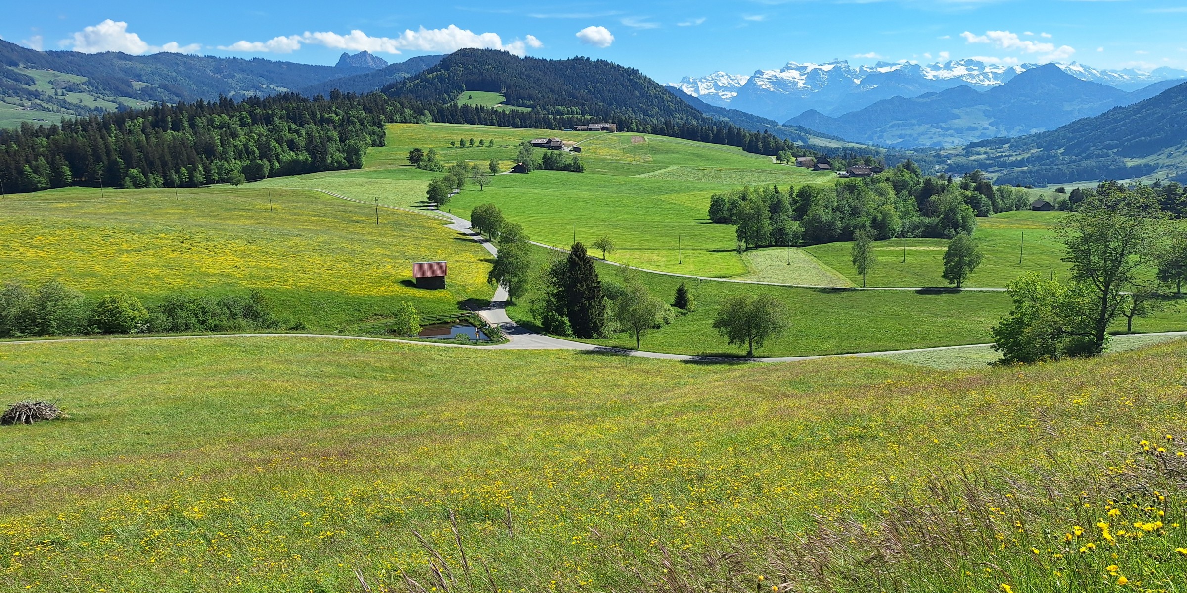 Foto zum Beitrag «königsetappe 26»
