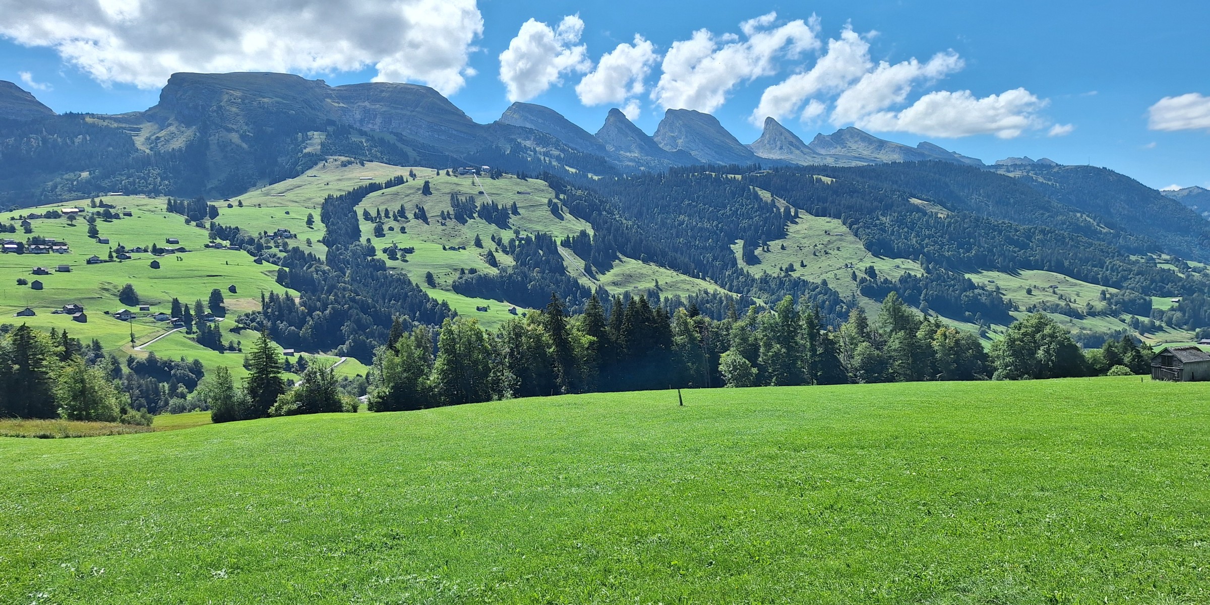 Foto zum Beitrag «risi säntis»