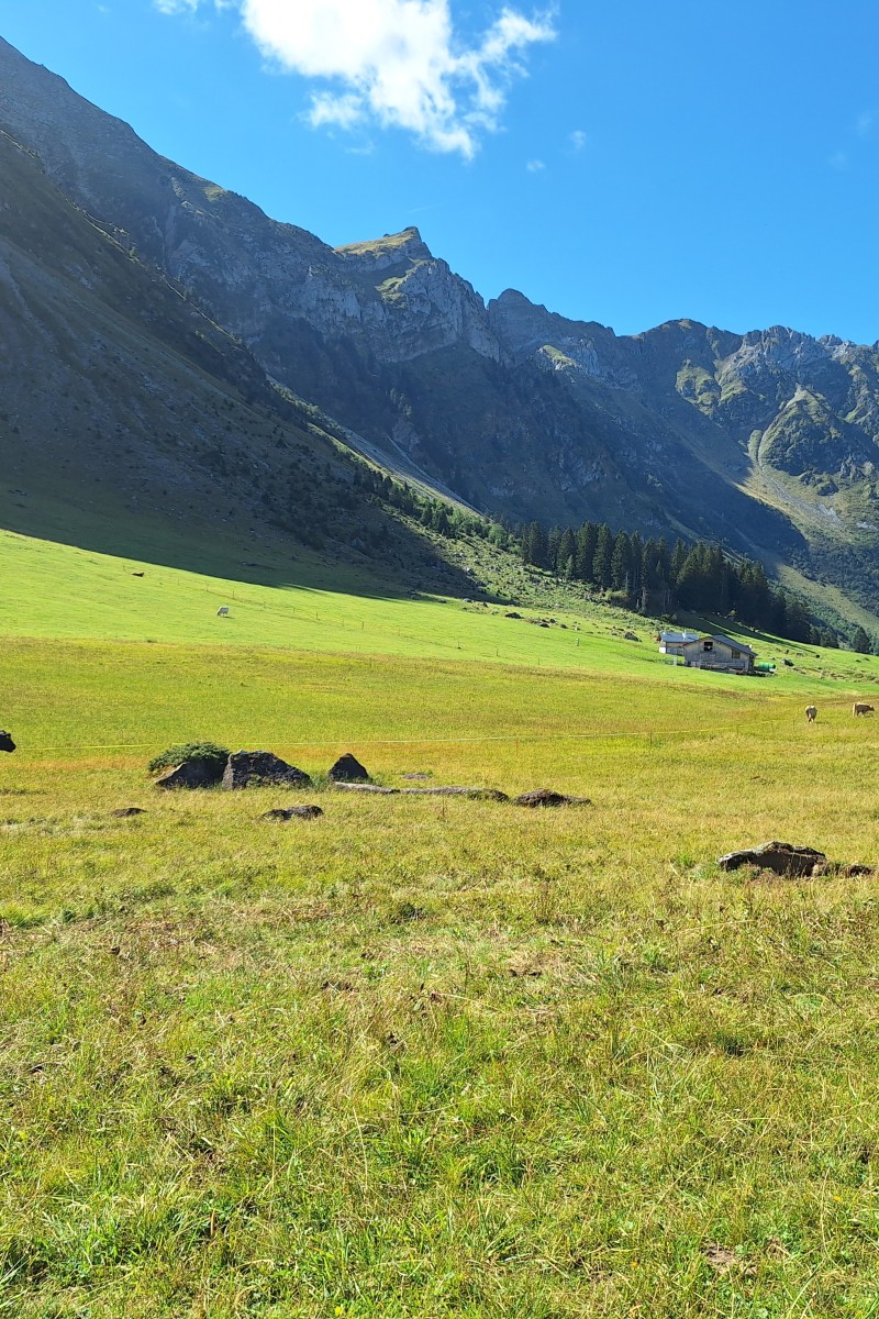 Foto zum Beitrag «risi säntis»