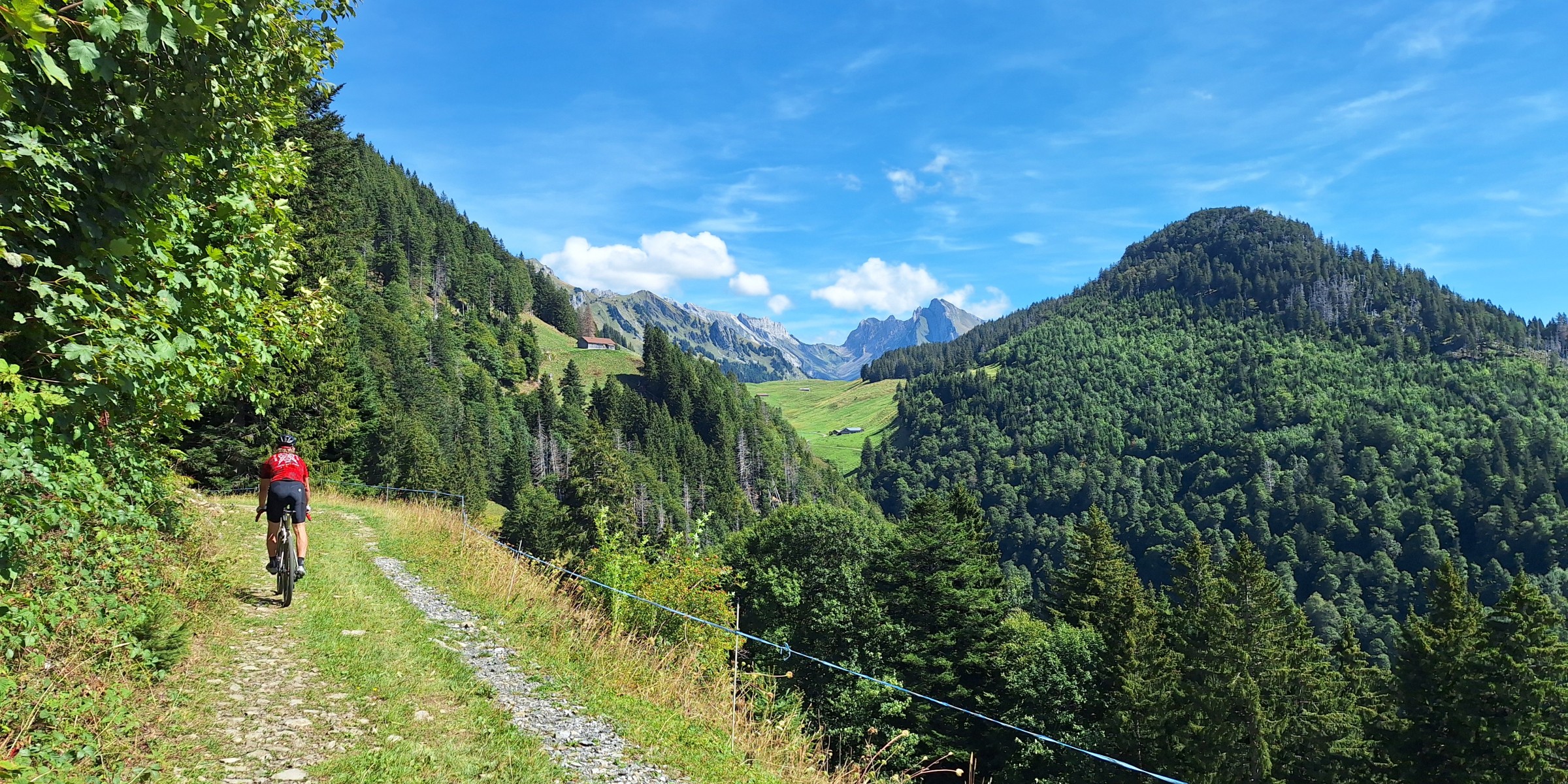 Foto zum Beitrag «risi säntis»