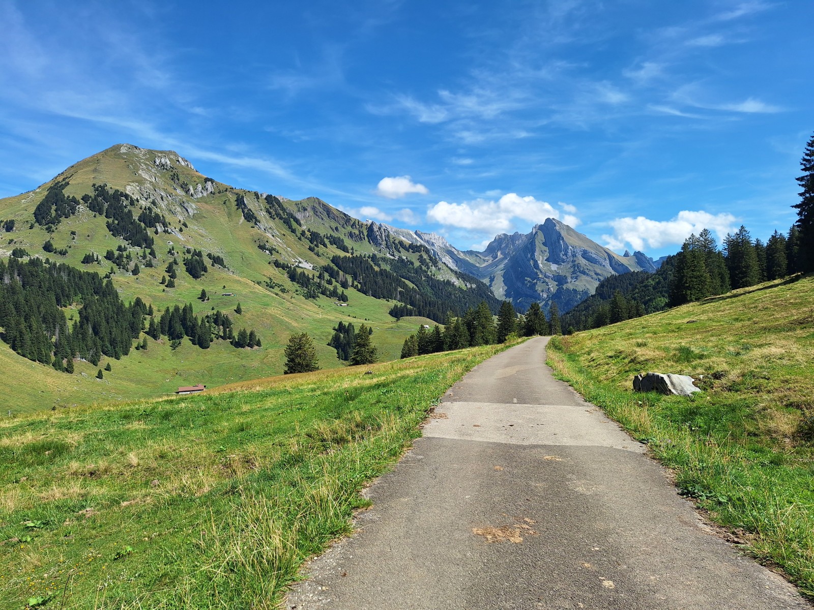 Foto zum Beitrag «risi säntis»