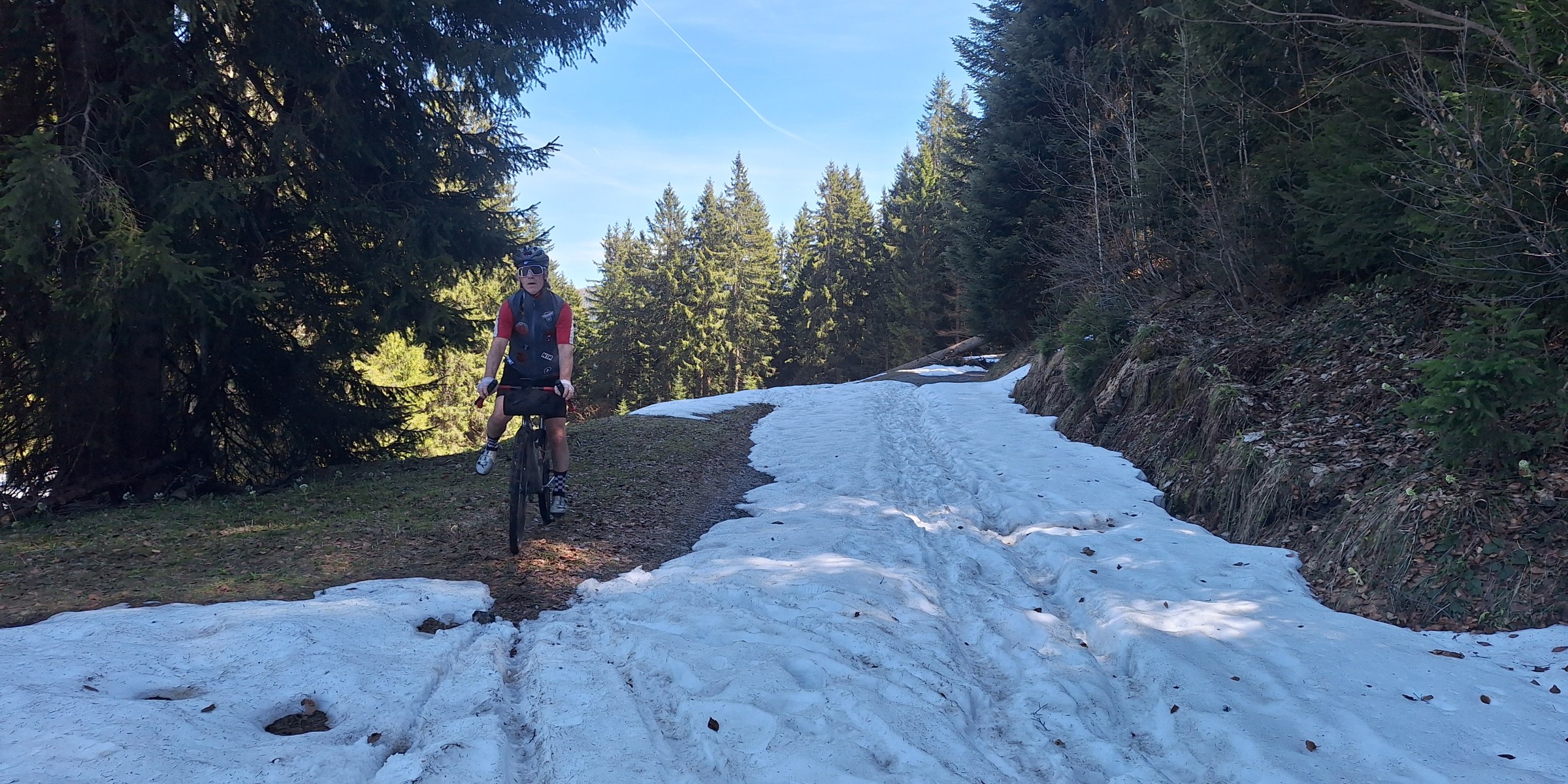 Foto zum Beitrag «sightseeing im frühling»