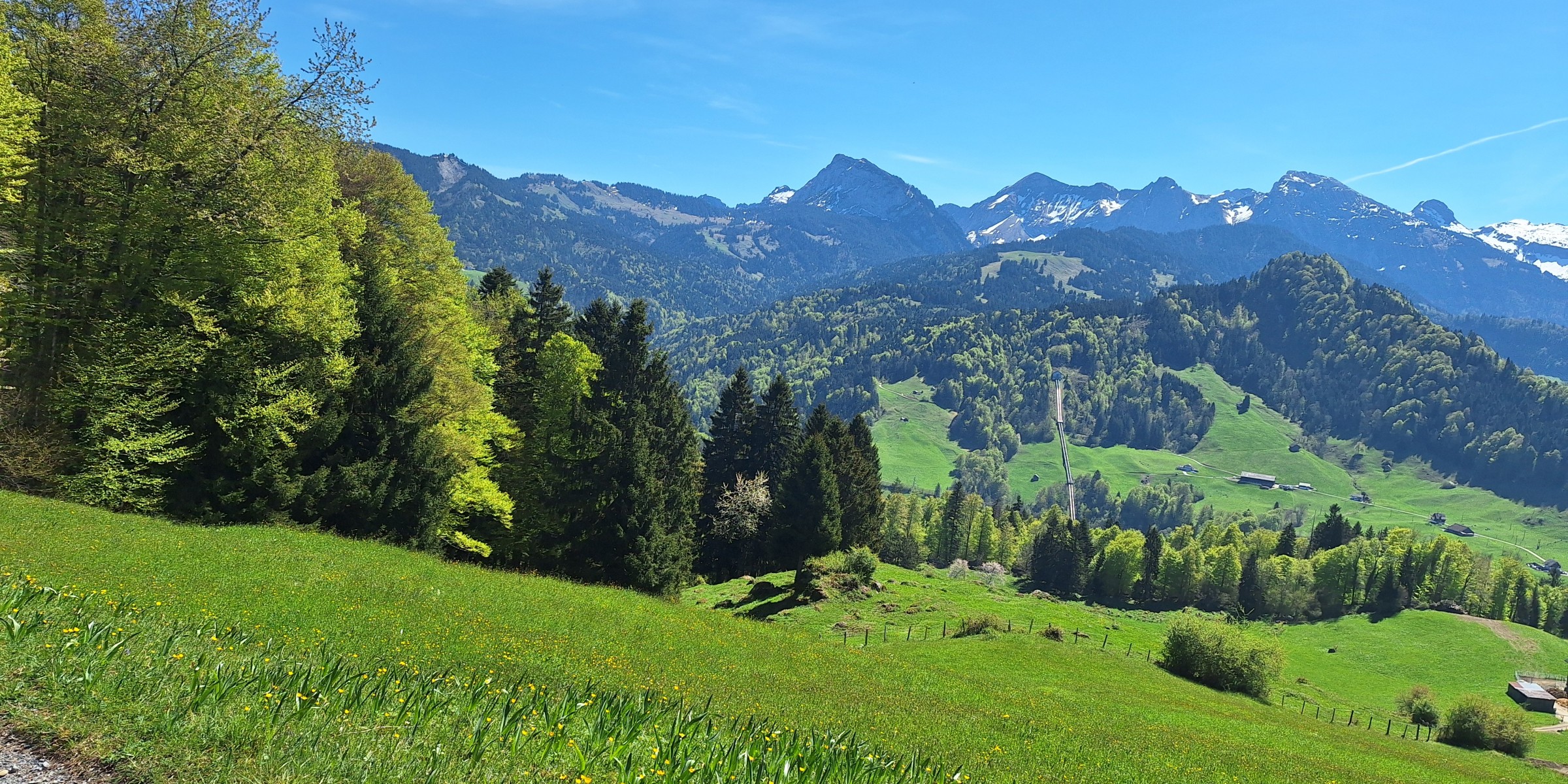 Foto zum Beitrag «sightseeing im frühling»