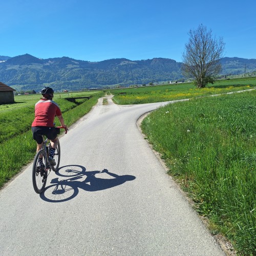 Teaserfoto zum Beitrag «sightseeing im frühling»