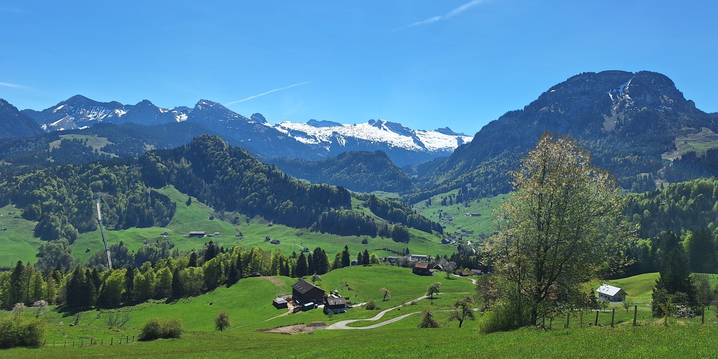 Foto zum Beitrag «sightseeing im frühling»