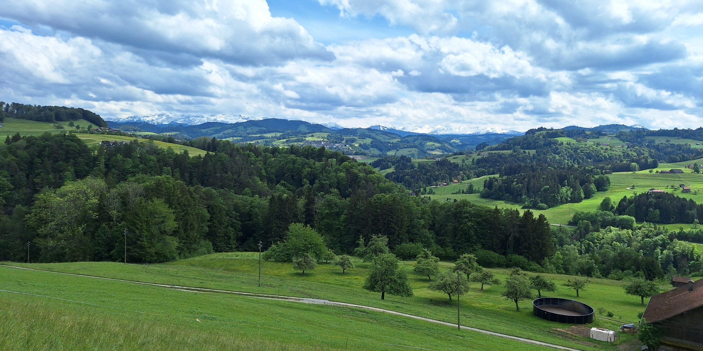 Foto zum Beitrag «toggenburg retour»
